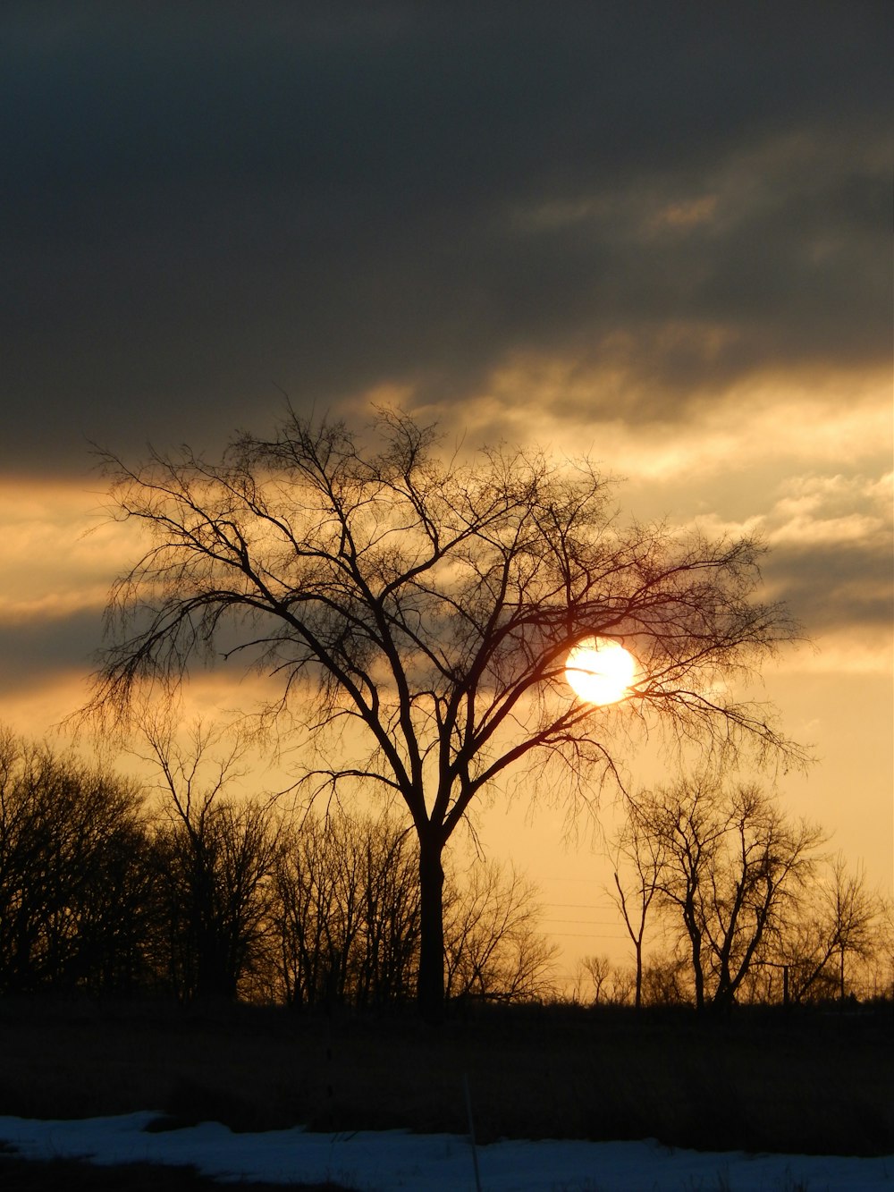 the sun is setting behind a tree in a field