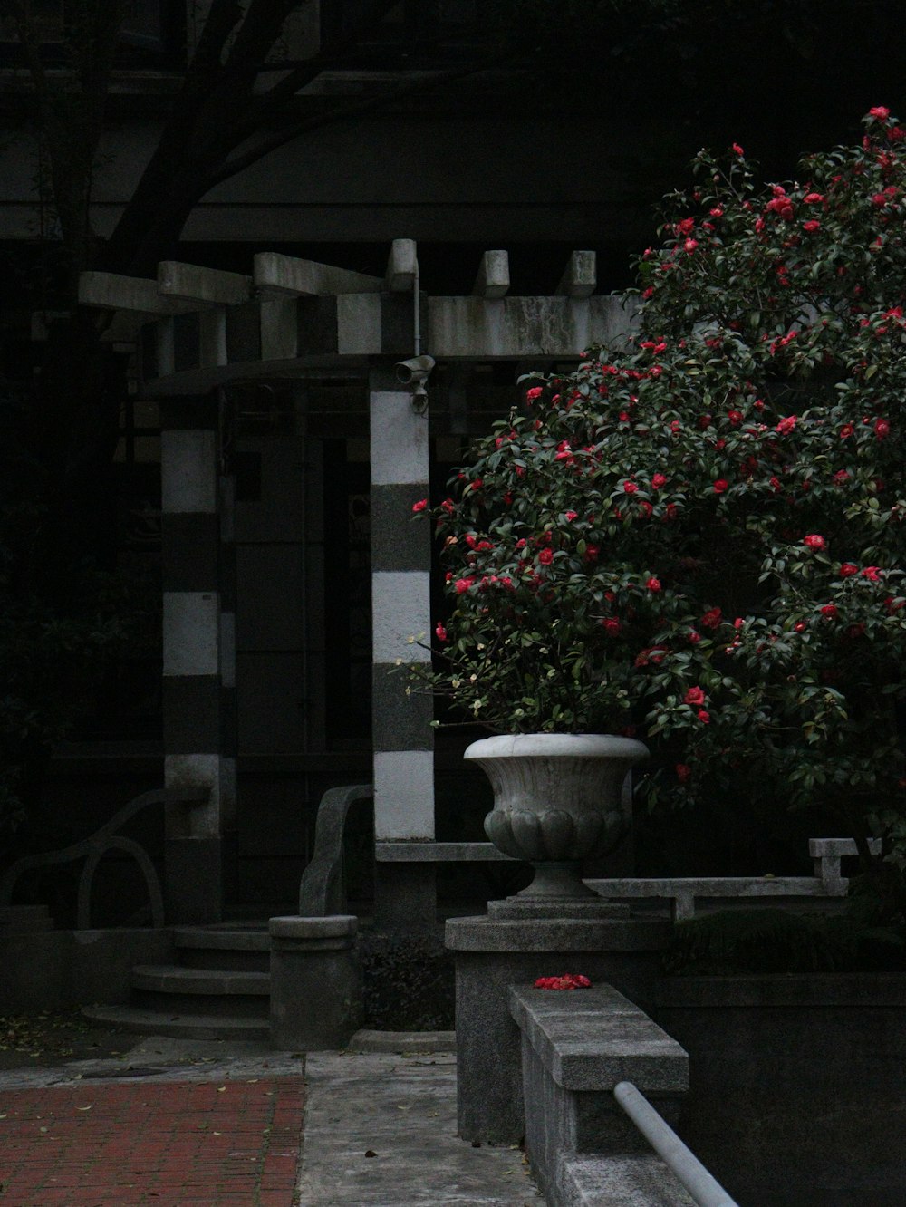 Un jarrón con flores rojas sentado en un banco de piedra