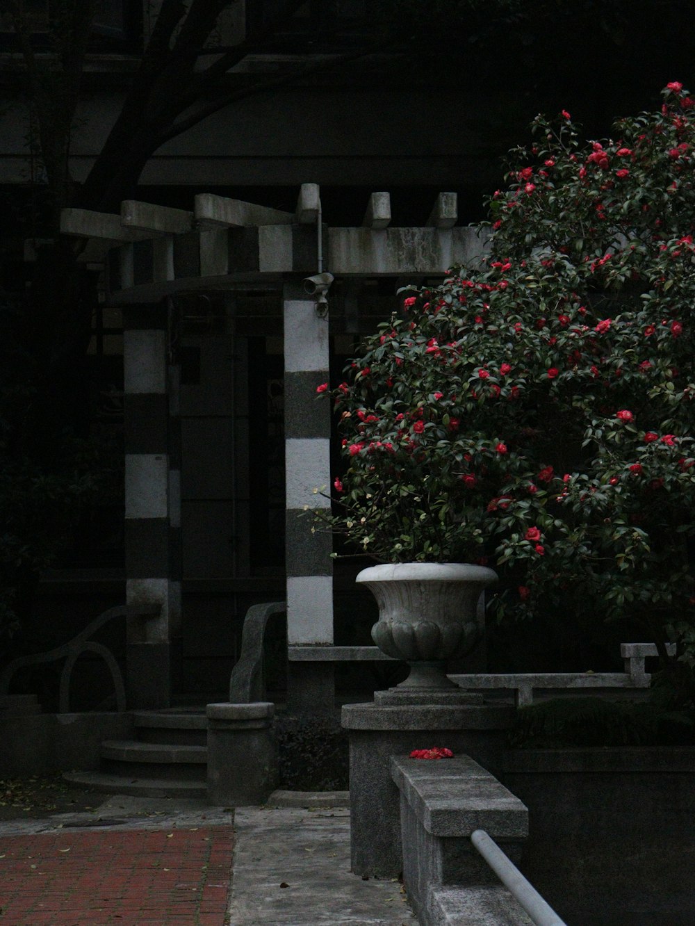 a vase with red flowers sitting on a stone bench