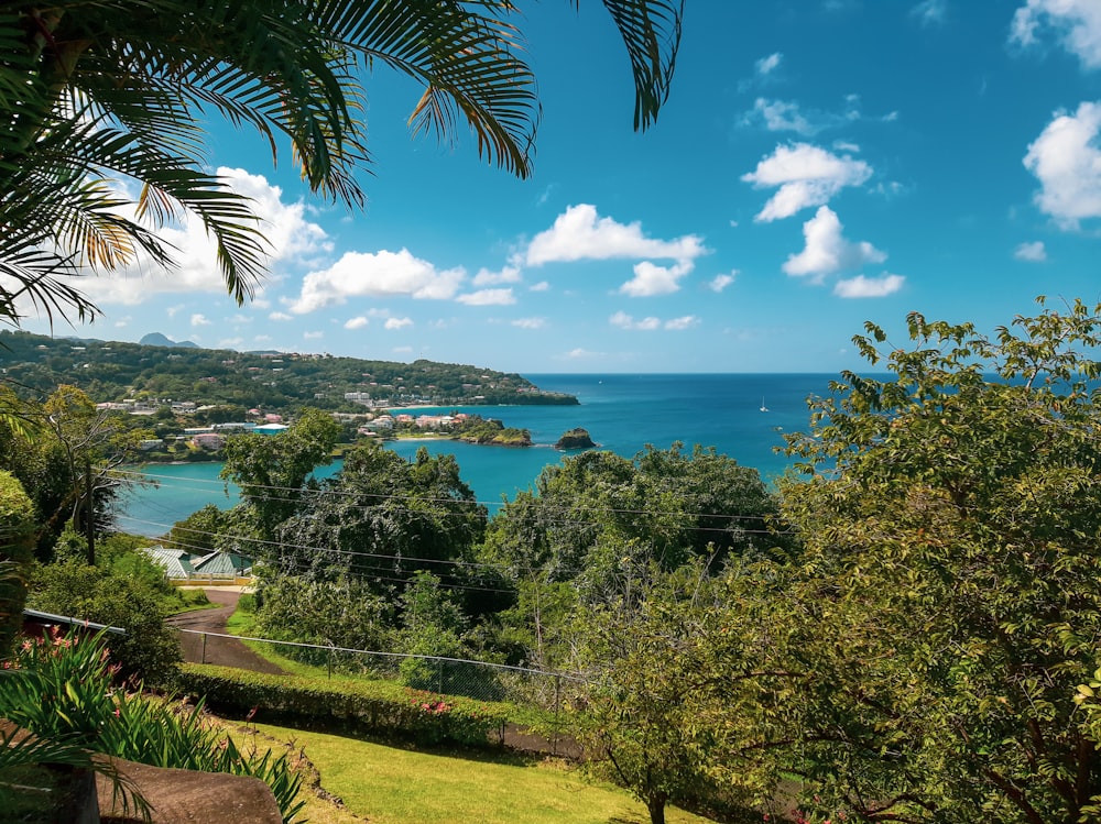 a view of the ocean from a hill top