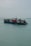 A barge is carrying several vehicles across a calm body of water. The sky is overcast, and there are a few seagulls flying around. In the distance, there is another vessel visible on the horizon.