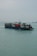 A barge is carrying several vehicles across a calm body of water. The sky is overcast, and there are a few seagulls flying around. In the distance, there is another vessel visible on the horizon.
