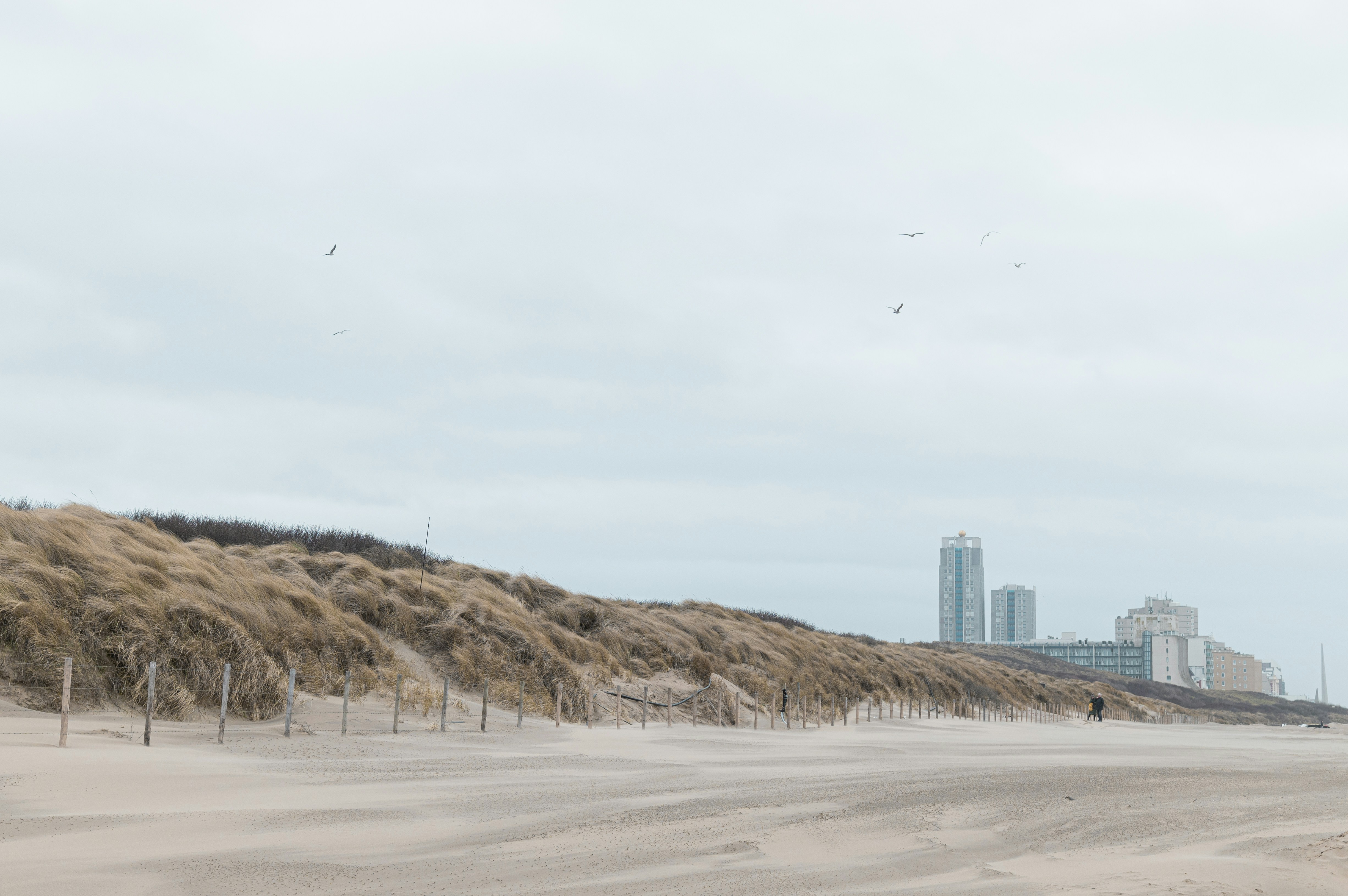 Naaktstrand