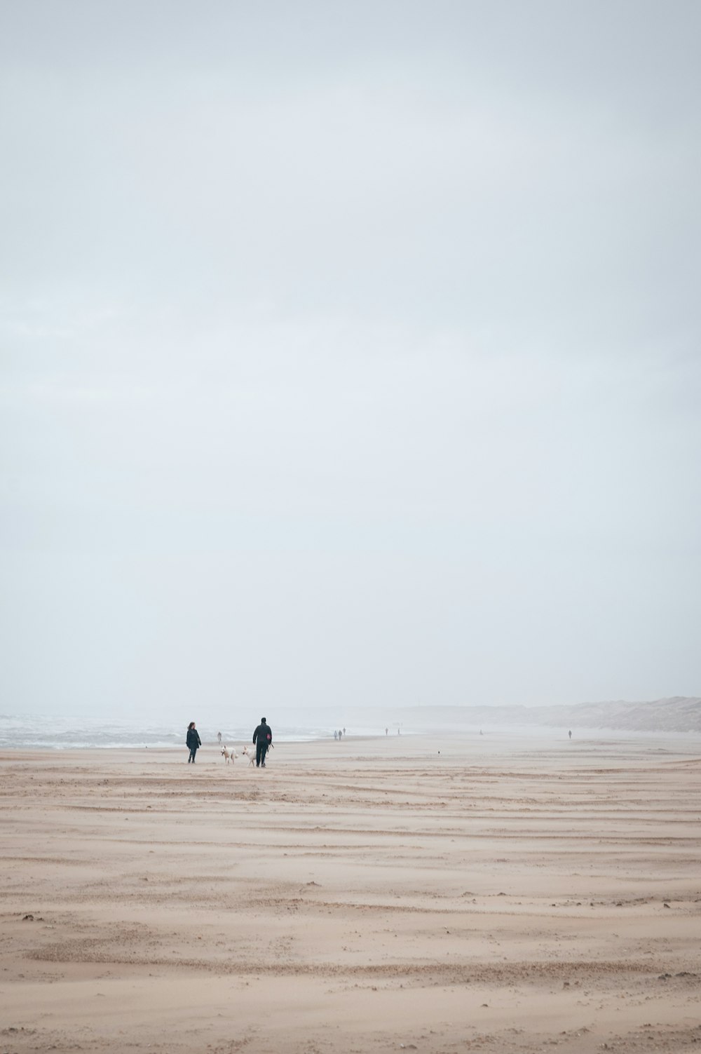 a couple of people walking across a sandy beach