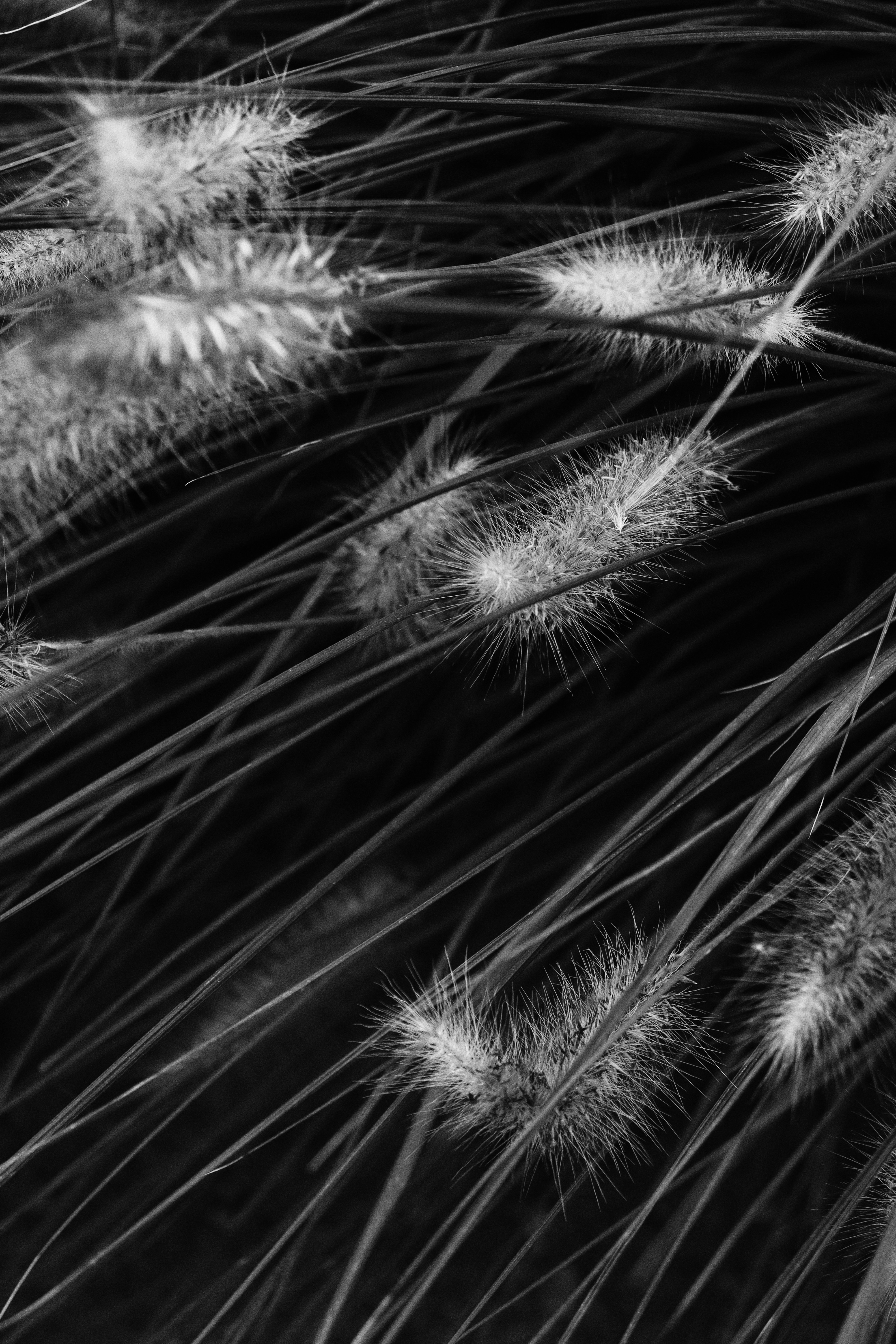 Photo by fridaflowers