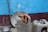 A traditional clay stove is in use, with firewood burning brightly inside. The background consists of a textured blue wall with a red strip at the base. Nearby, there are various household items, including a metal bowl on the ground and a plastic bottle within a clay holder.