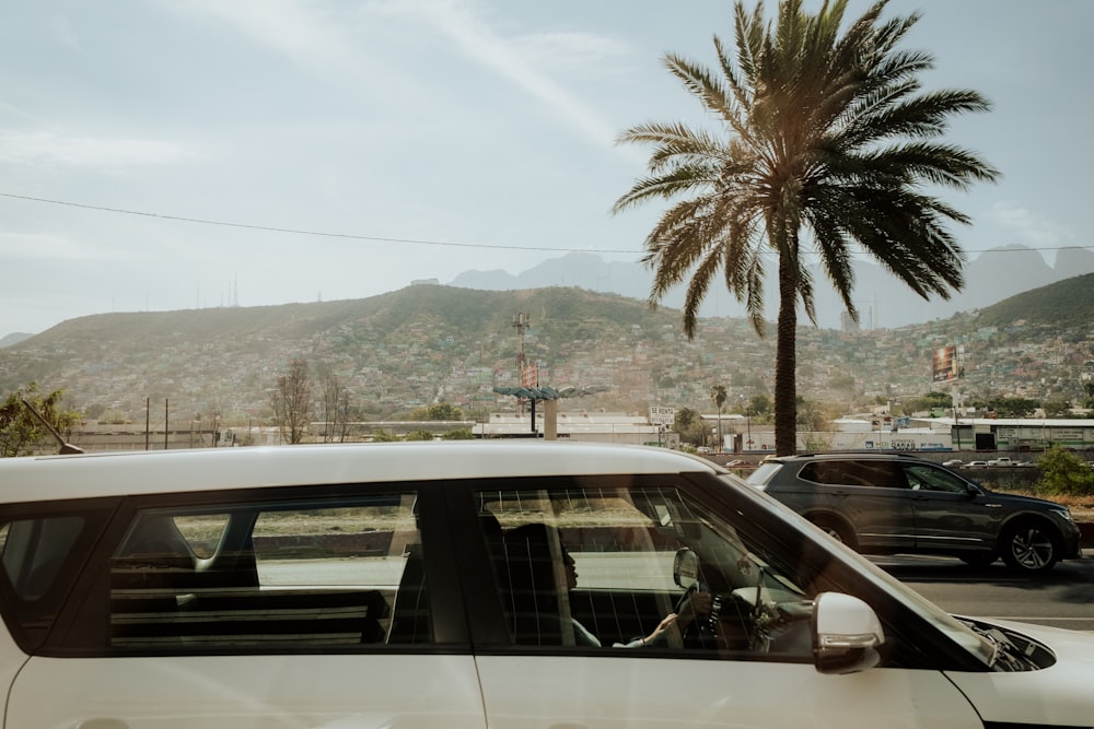 a white car driving down a street next to a palm tree