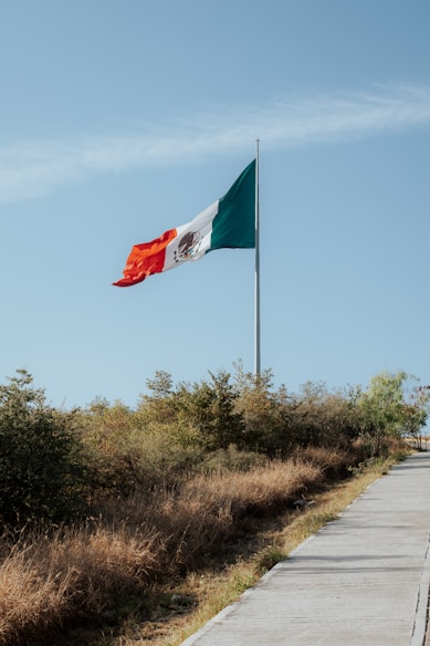 a flag flying on top of a flag pole