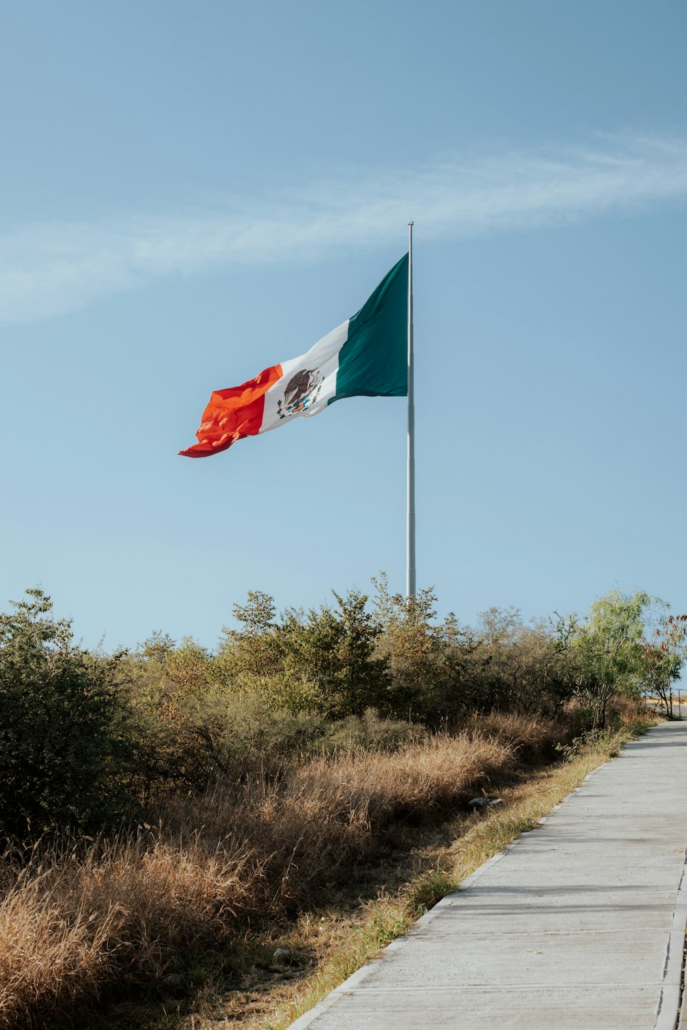 a flag flying on top of a flag pole