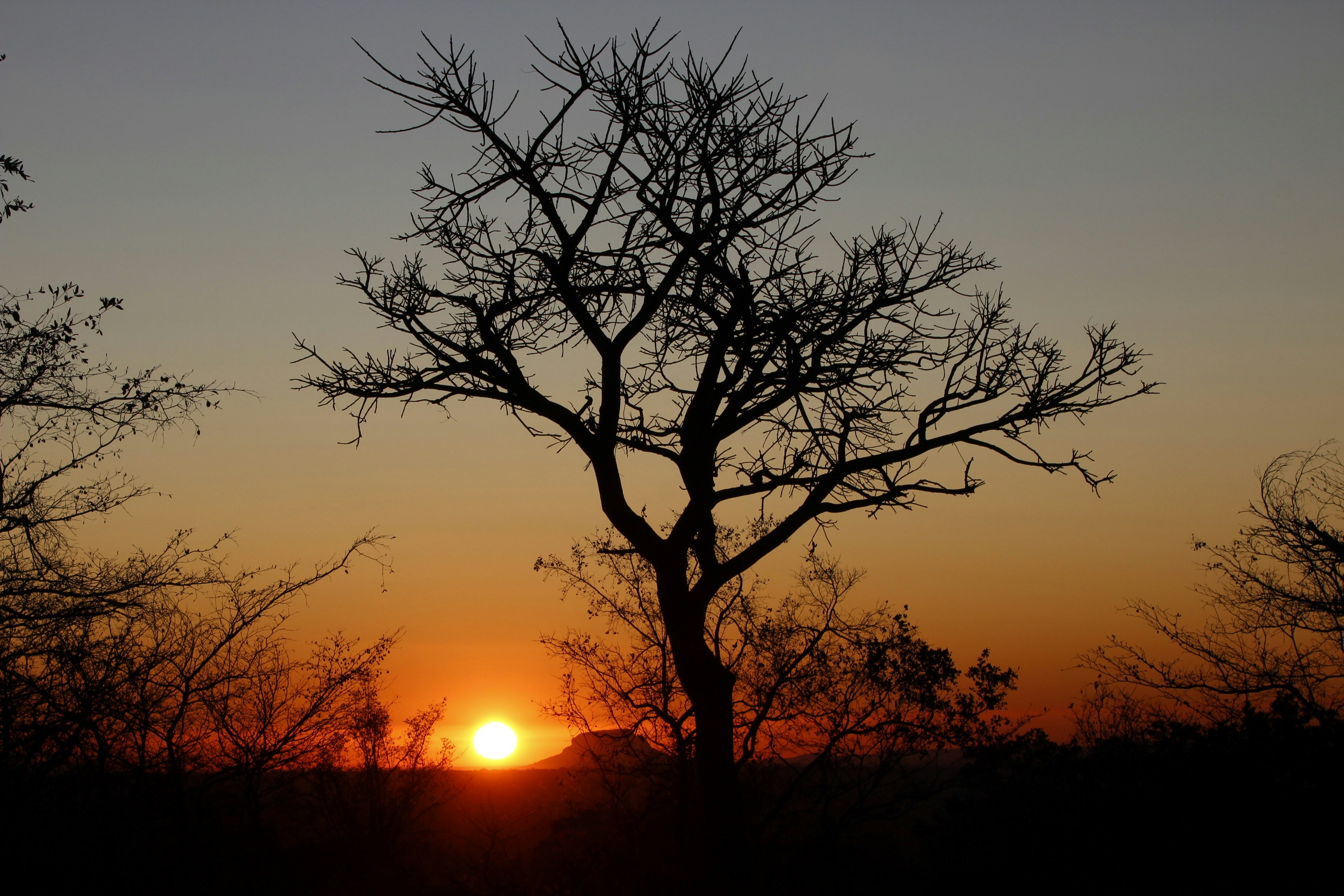 Photo by lena_bauermeister