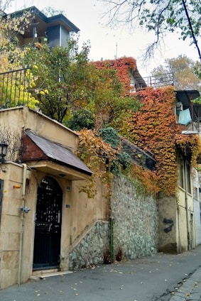 A residential building with an ivy-covered facade, featuring a stone and plaster exterior. The building is surrounded by trees with green, yellow, and orange leaves, indicating an autumn setting. There is a black wrought iron gate at the entrance and a small balcony.