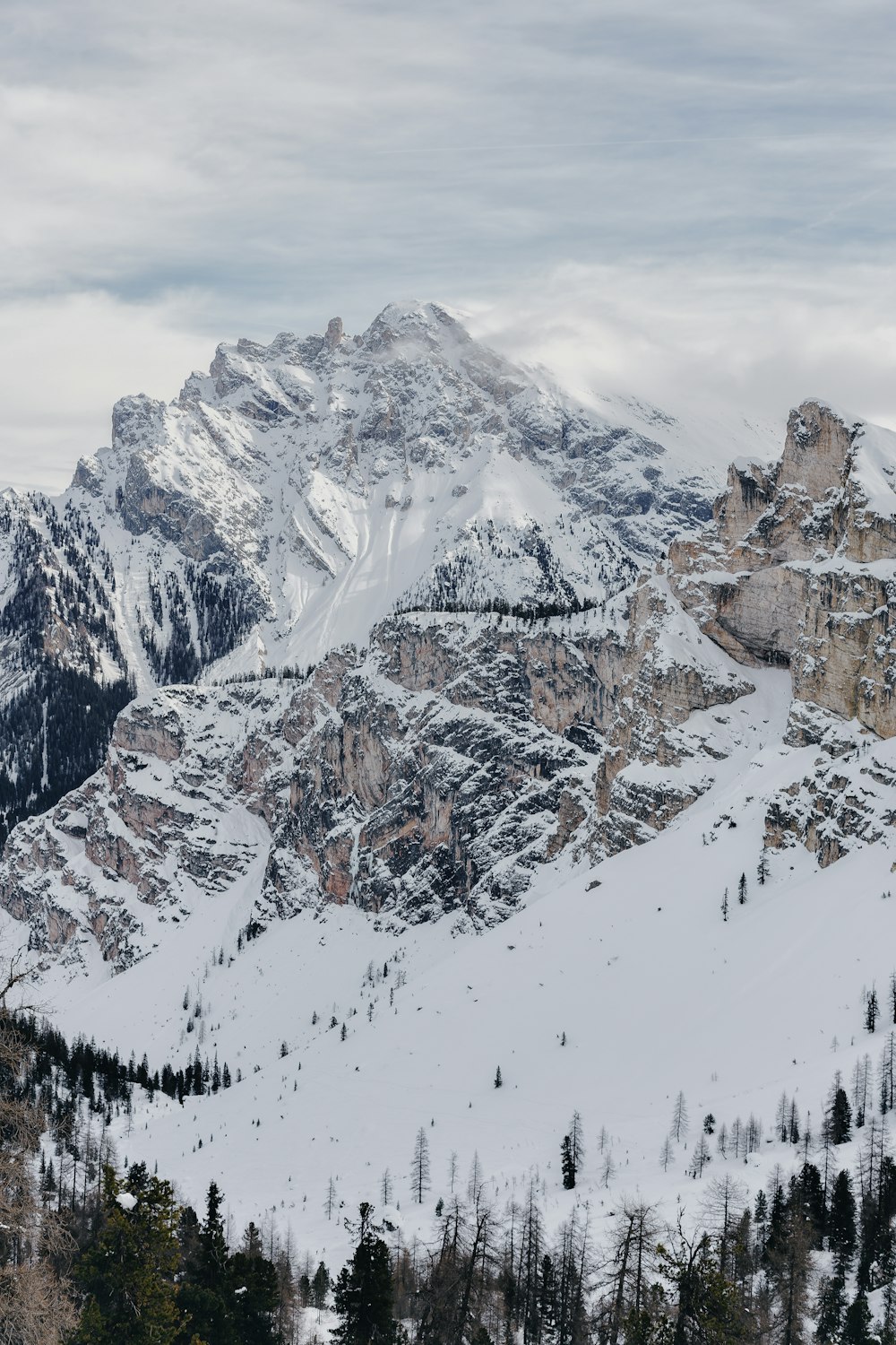 a snow covered mountain range with trees in the foreground