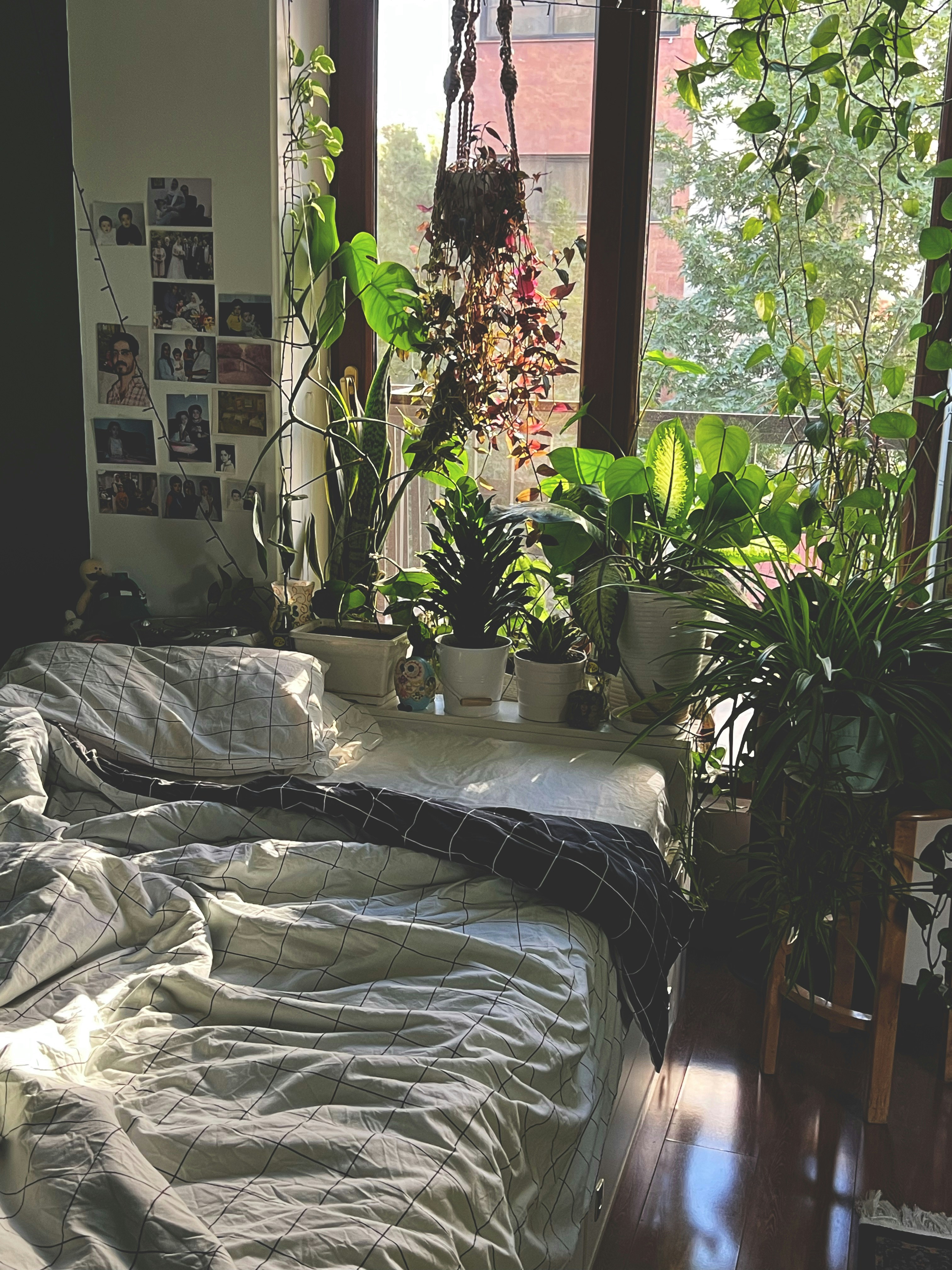 Peaceful bedroom environment