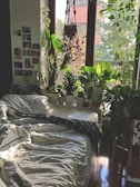 a bedroom with a bed, plants, and a window