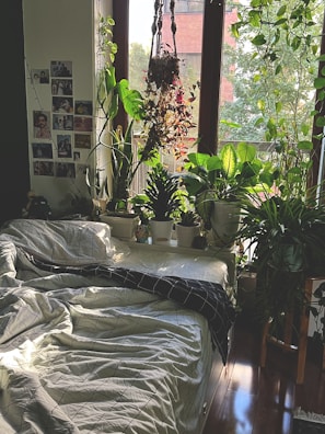 a bedroom with a bed, plants, and a window