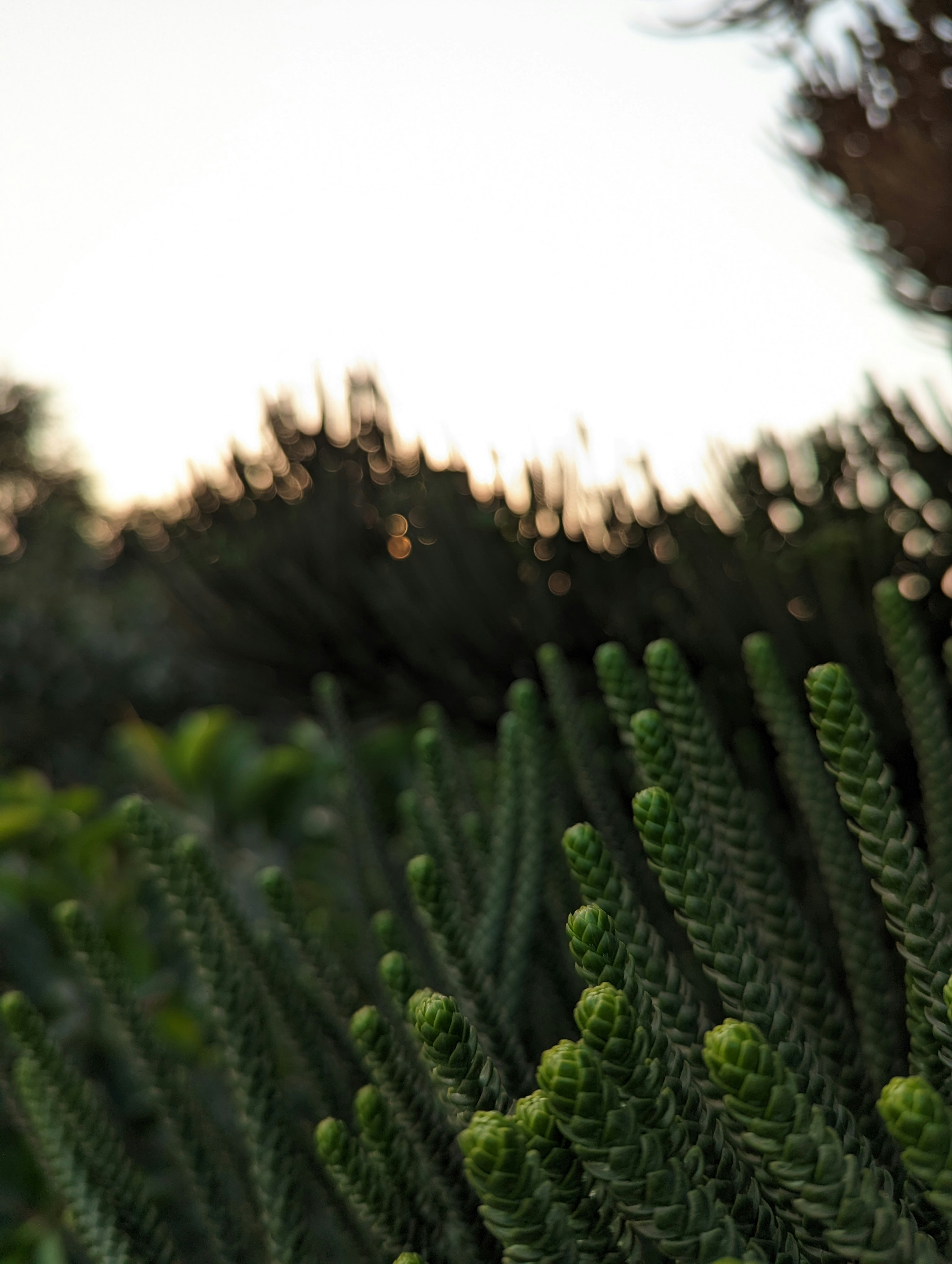 Photo by vikramaditya