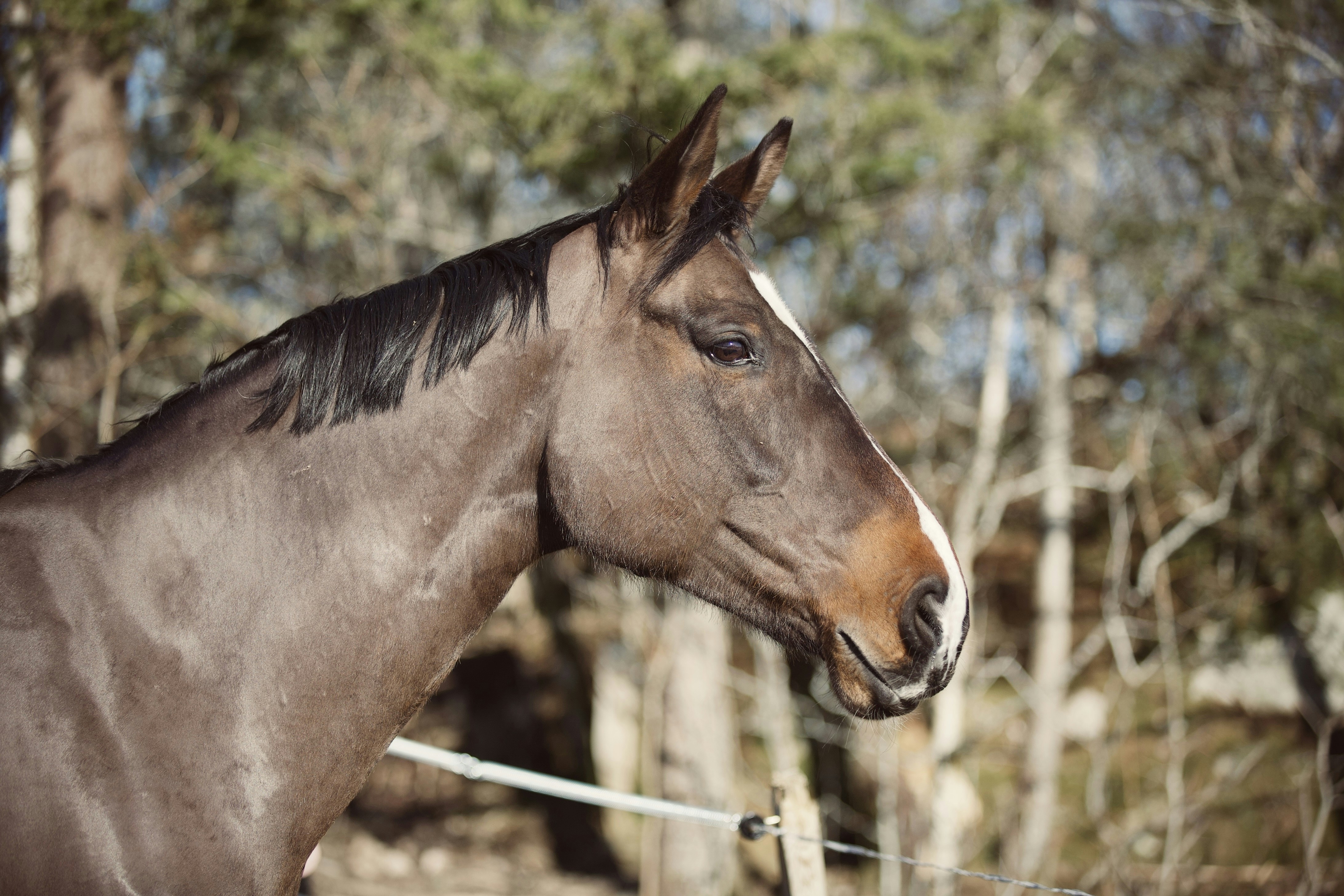 Photo by kristinokarlsen