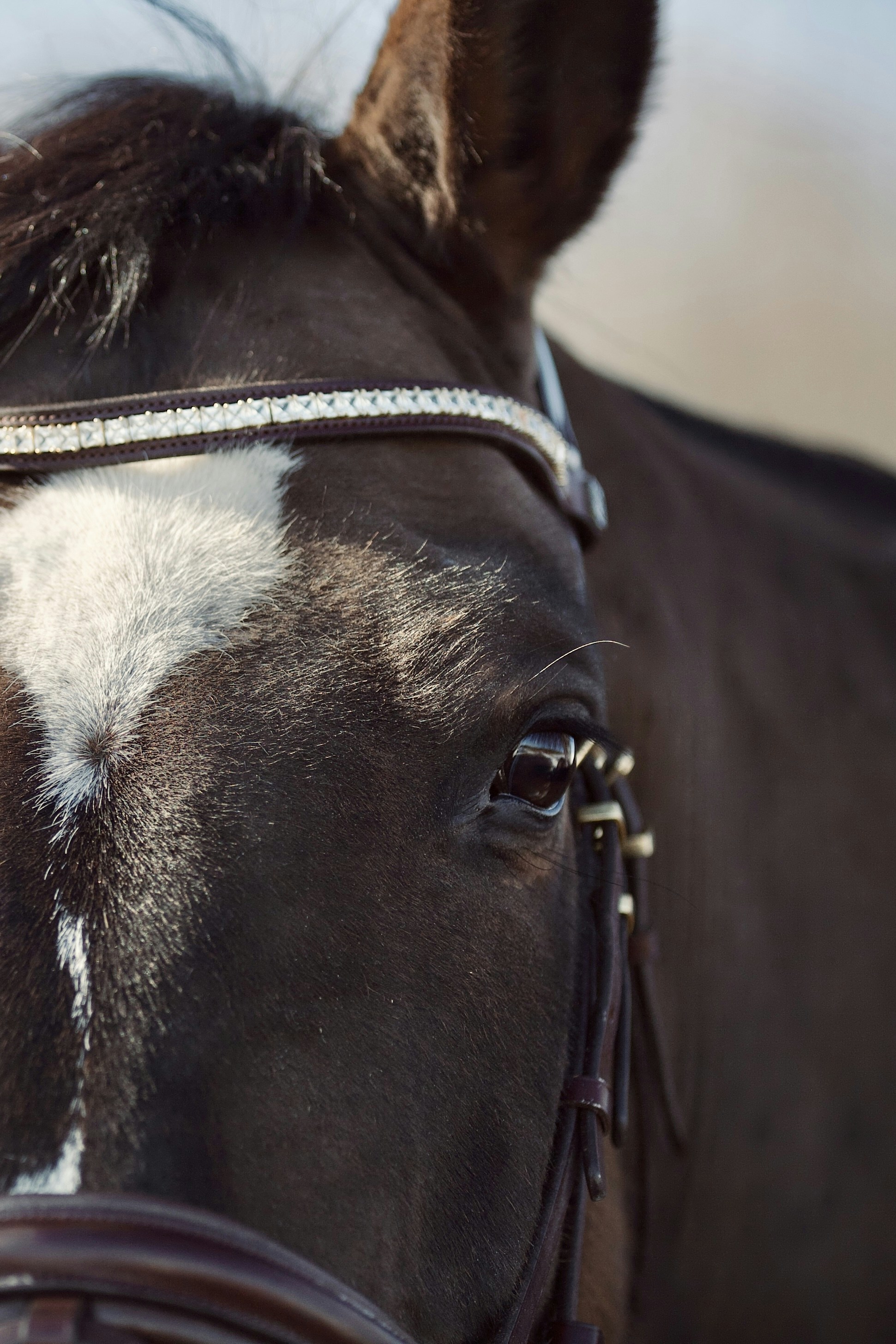 Photo by kristinokarlsen