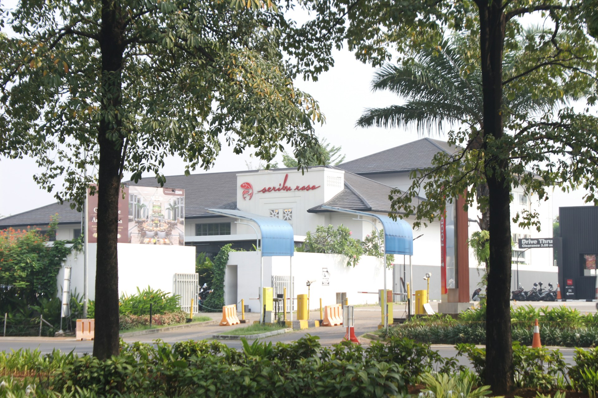 woman wearing yellow long-sleeved dress under white clouds and blue sky during daytime