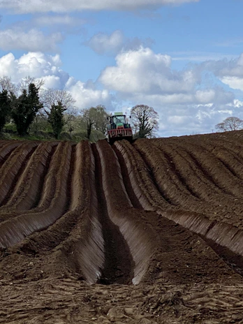 Wide shot of a tractor laying agricultural mulch over a freshly plowed field at sunrise