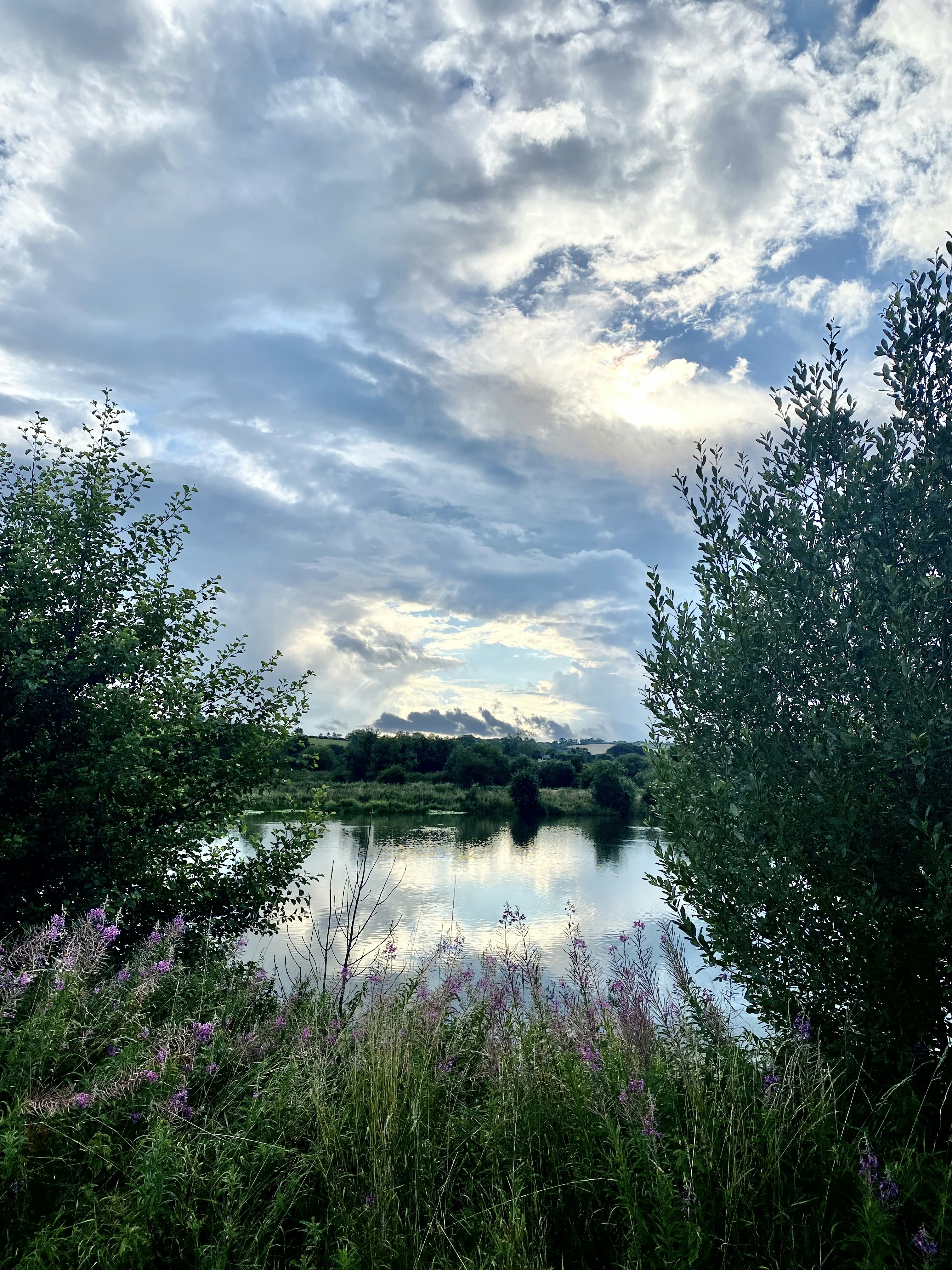 Parfum Alami Zylnature