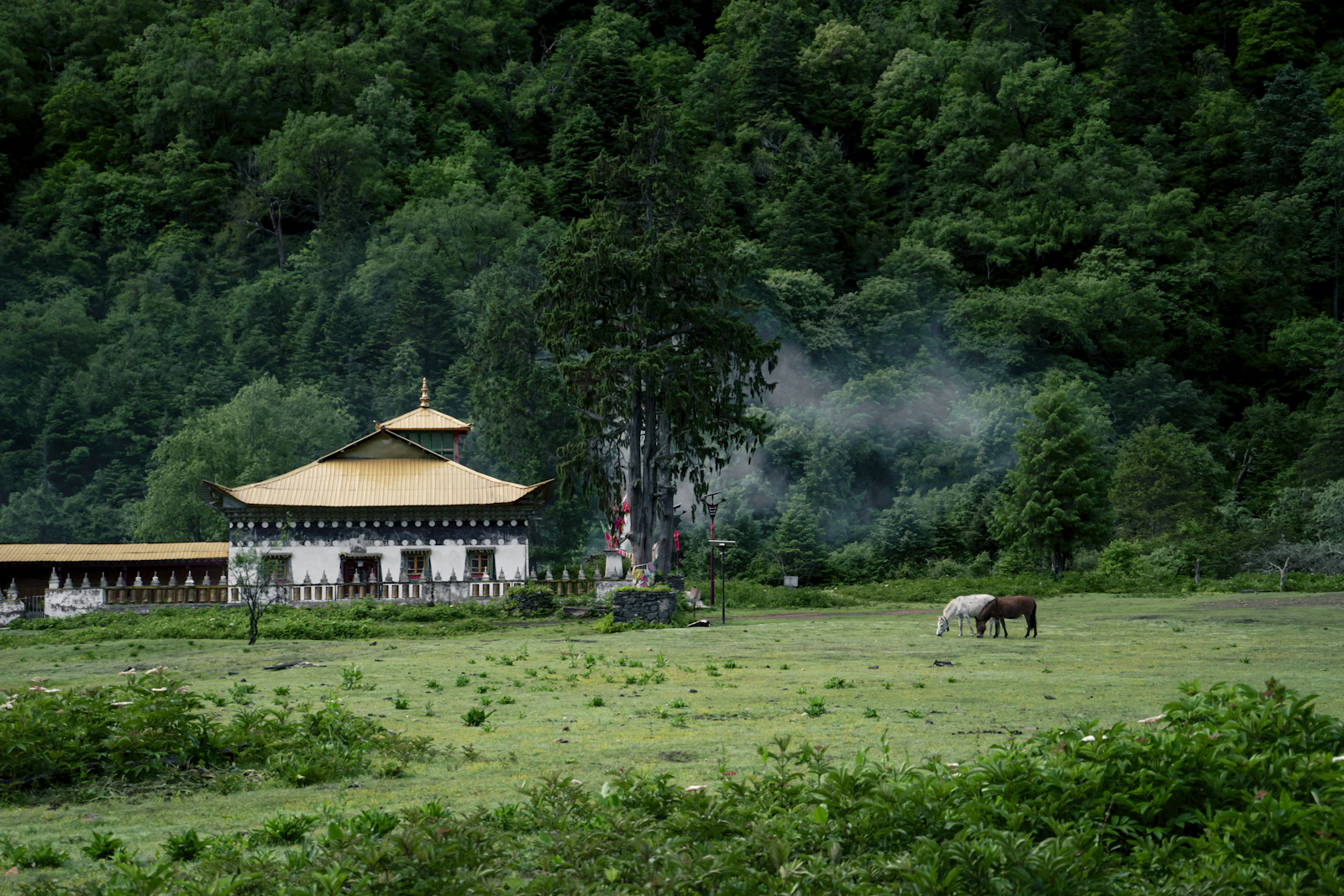 Banyan Tree Ringha: Tibetan Farmhouse Lodges near Shangri-La