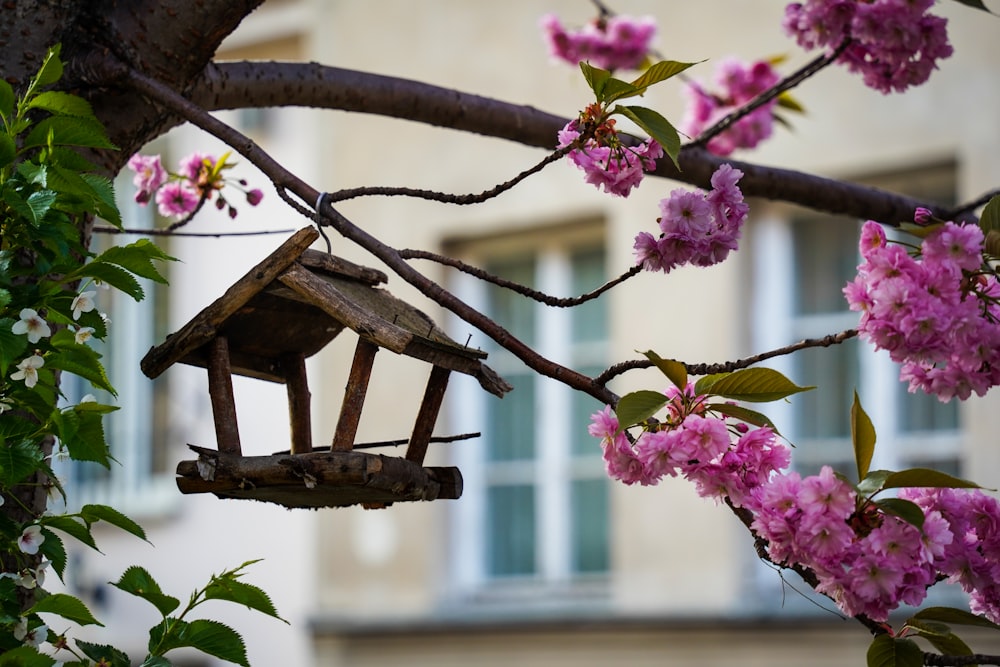 une mangeoire à oiseaux suspendue à un arbre avec des fleurs roses