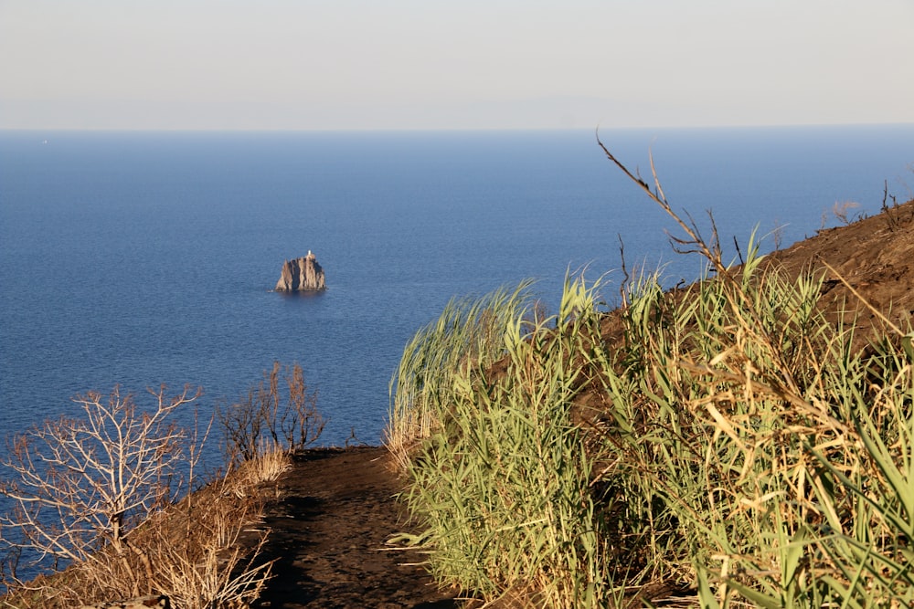 a view of a body of water from a hill