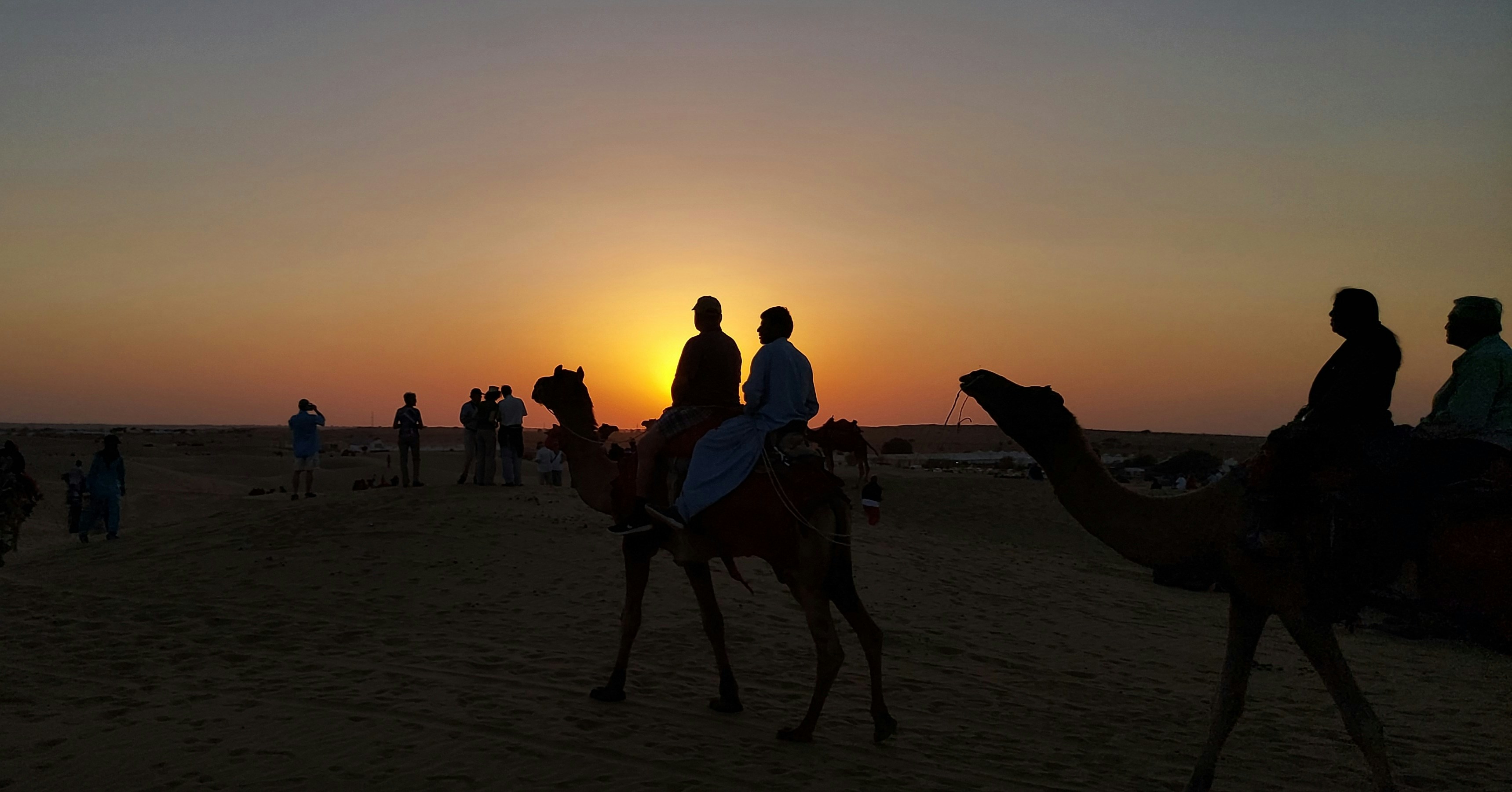 Desert dunes in Sahara at sunset with dramatic orange and red sky, camel silhouettes on ridge