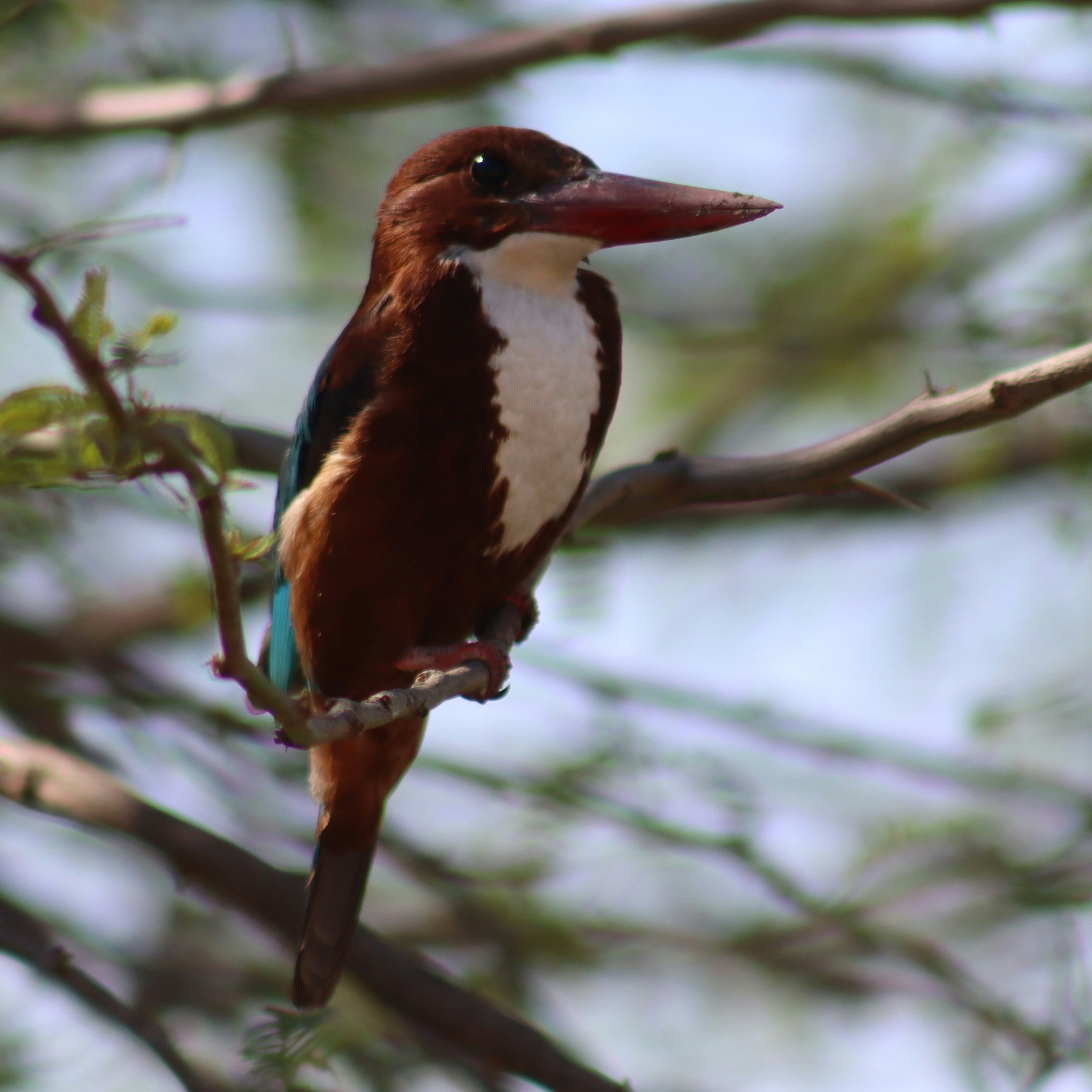 Photo by drphotographer152