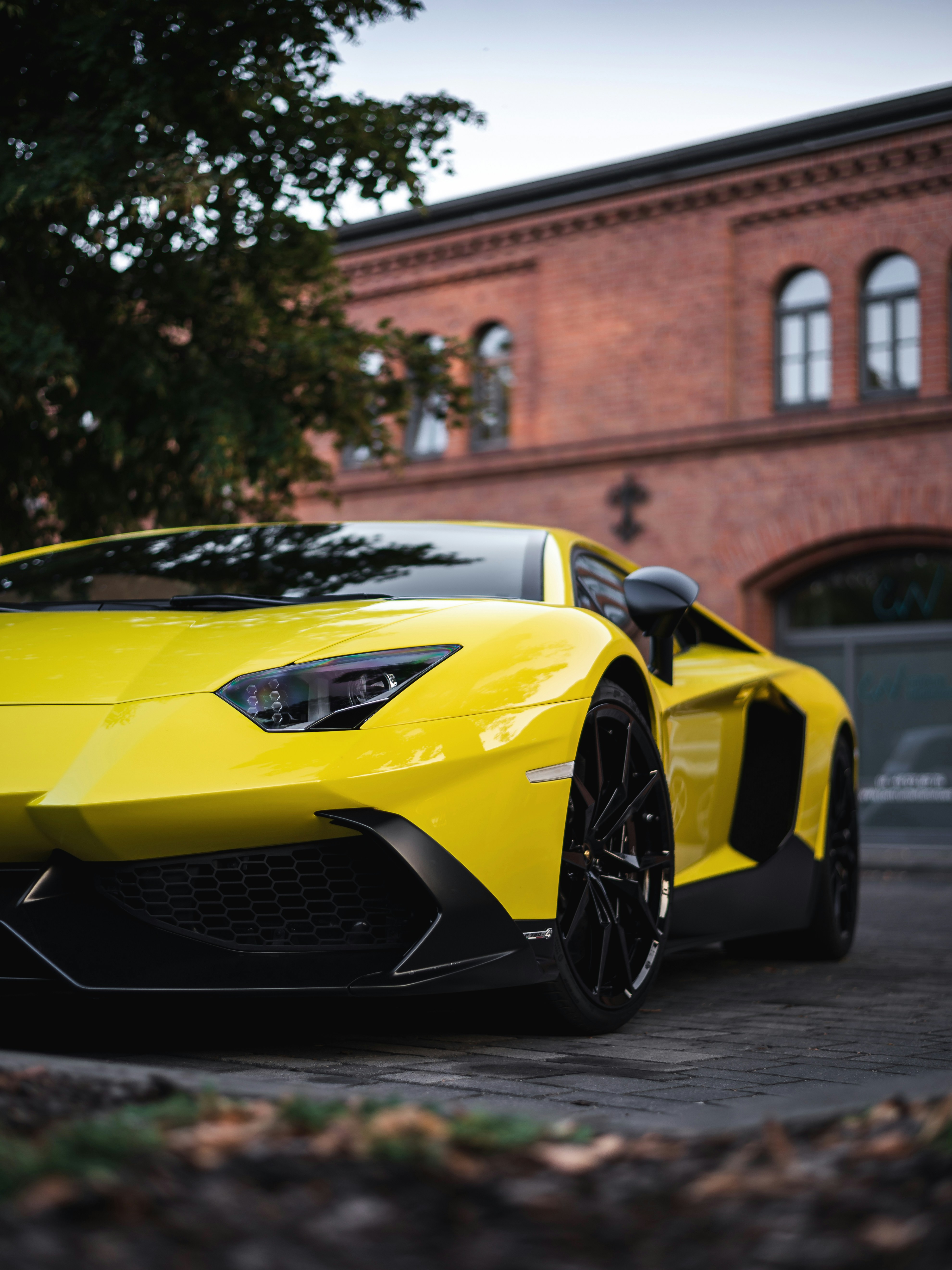 Photo by damian_ochrymowicz