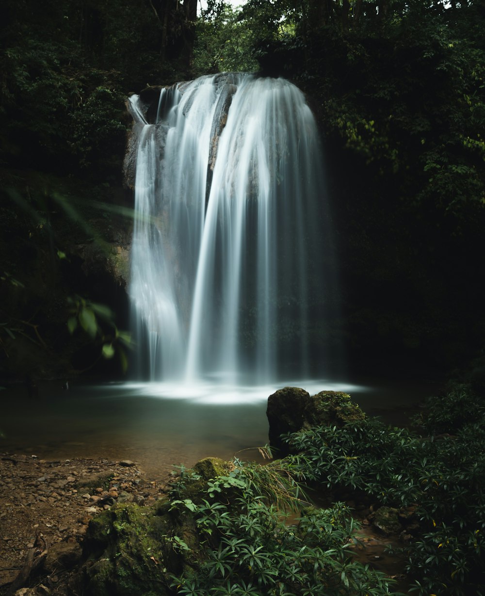 a large waterfall in the middle of a forest