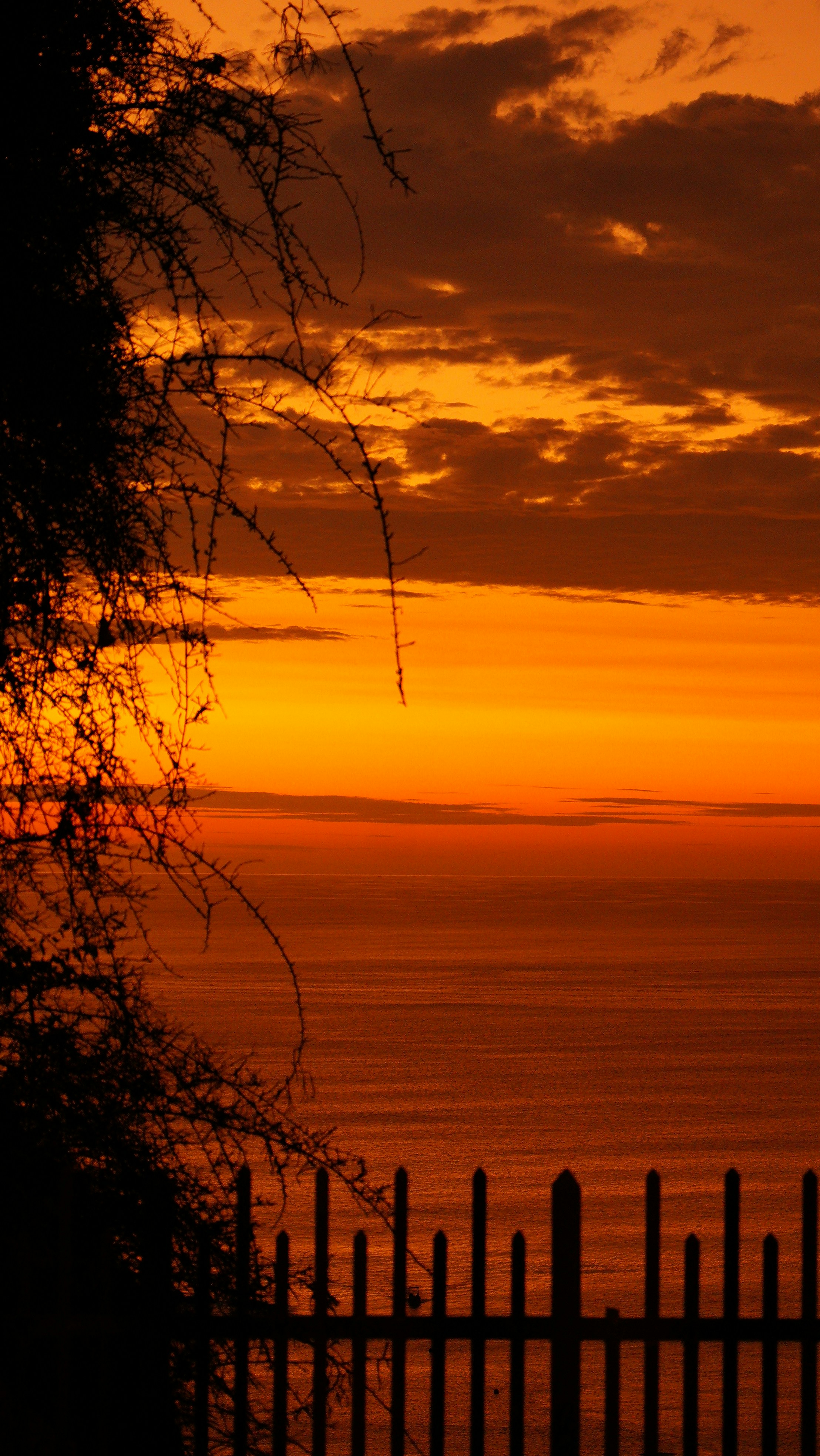 Photo by frank_romero