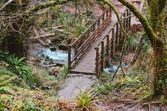 A handcrafted wooden footbridge arching gracefully over a forest stream, surrounded by lush greenery.