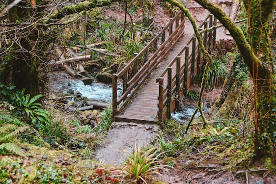 A handcrafted wooden footbridge arching gracefully over a forest stream, surrounded by lush greenery.
