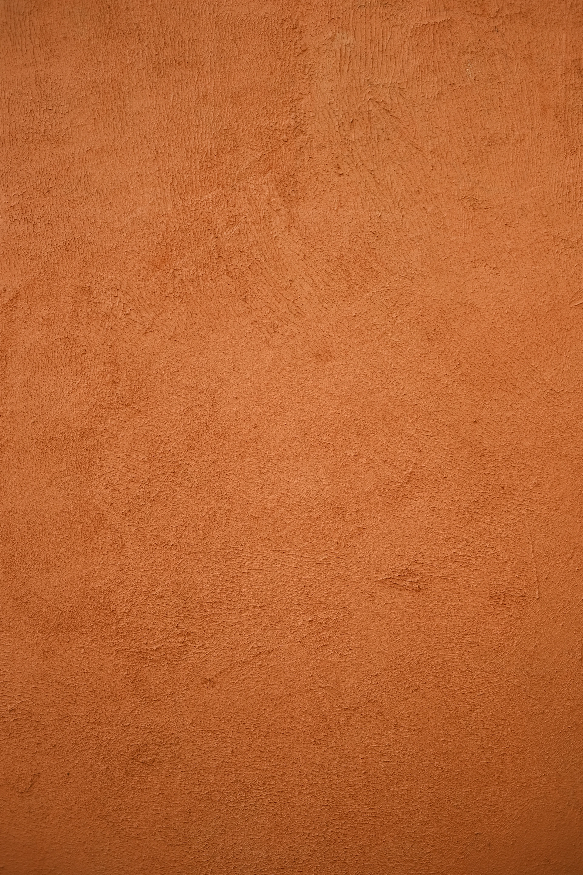 a red wall with a black cat sitting on top of it
