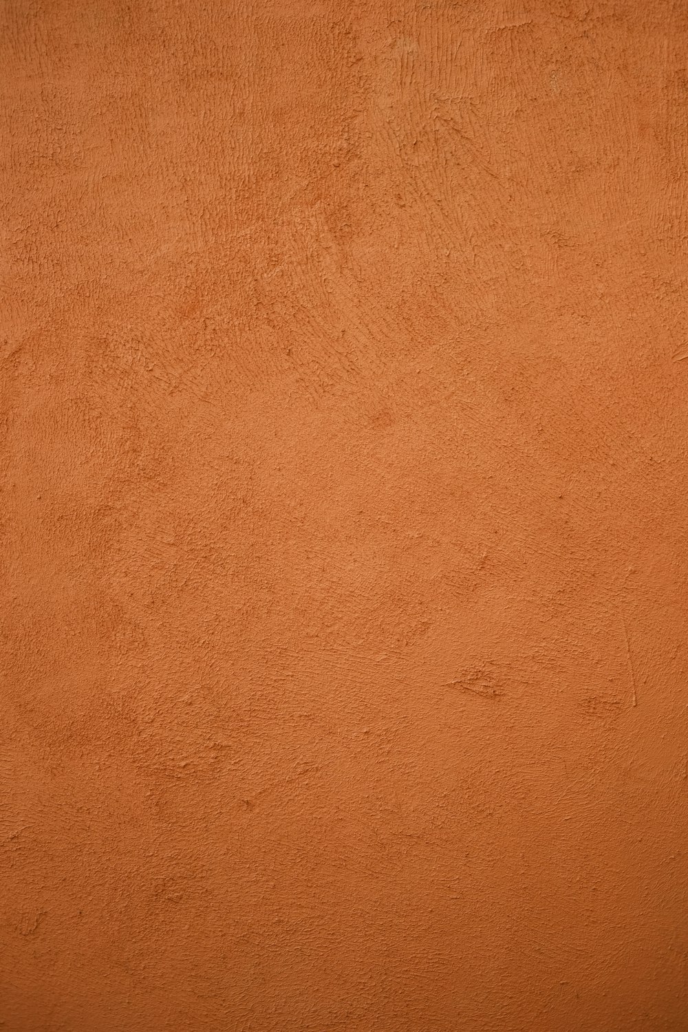 a red wall with a black cat sitting on top of it