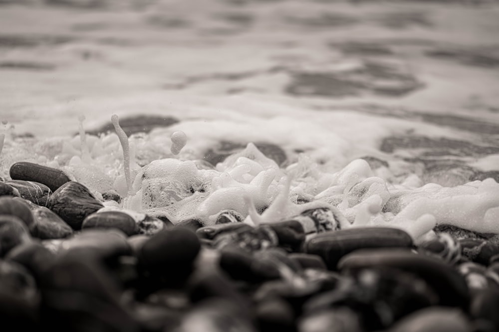 a black and white photo of rocks and water