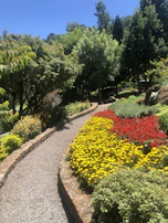 A winding garden path bordered by colorful perennials and ornamental grasses in full bloom.