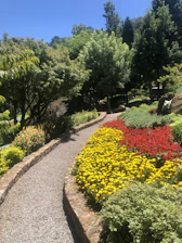 A beautifully arranged garden bed with blooming flowers and winding paths.