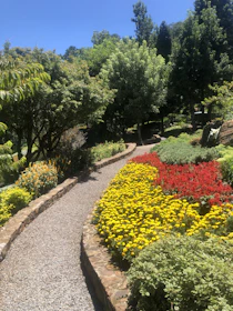 A beautifully arranged garden bed with blooming flowers and winding paths.