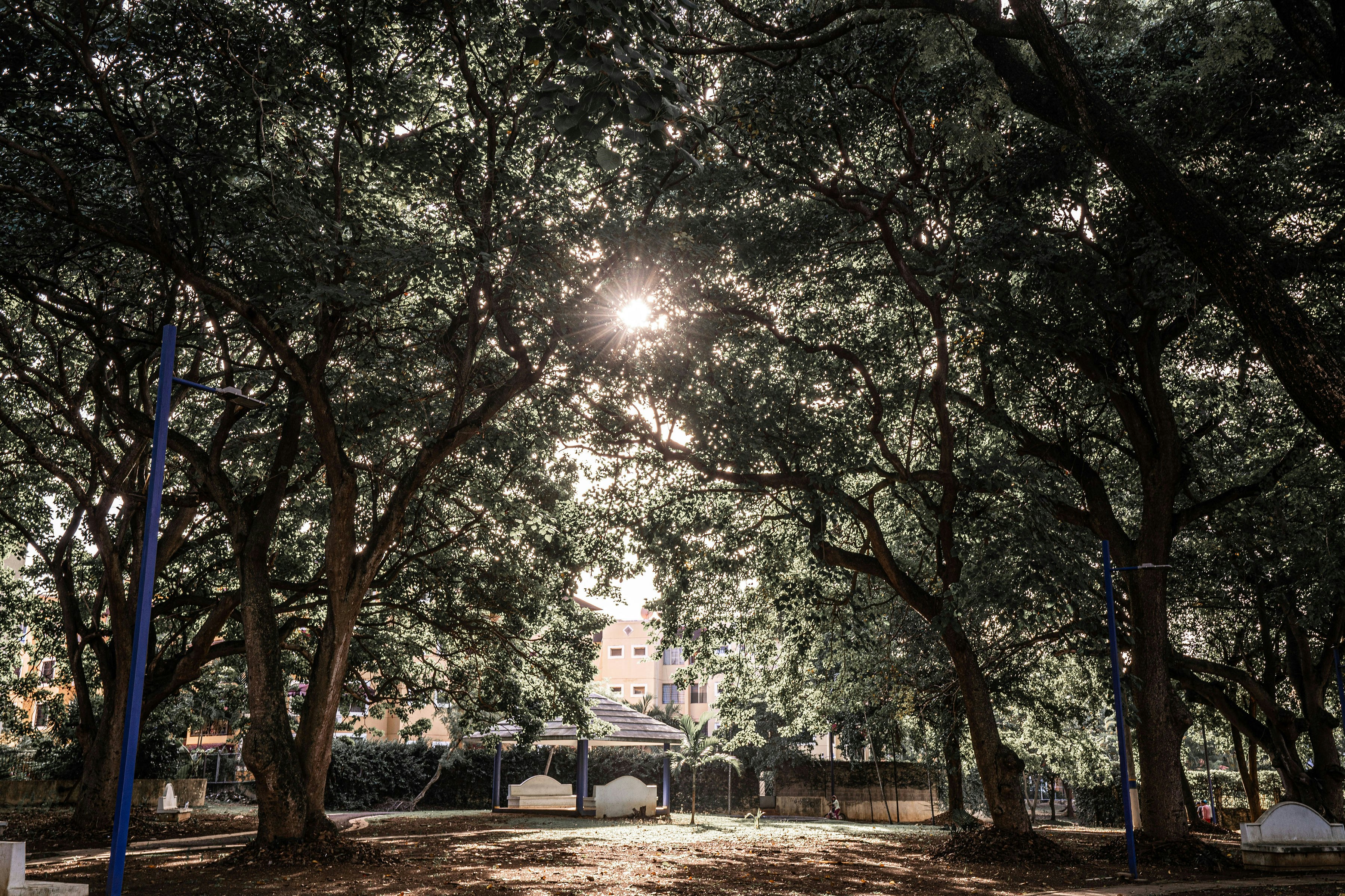 Photo by jochycampusano