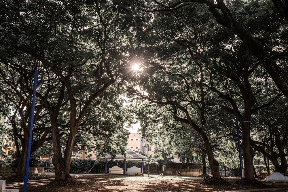 the sun shines through the trees in a park