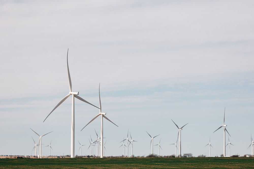 A row of white wind turbines across a wide green field