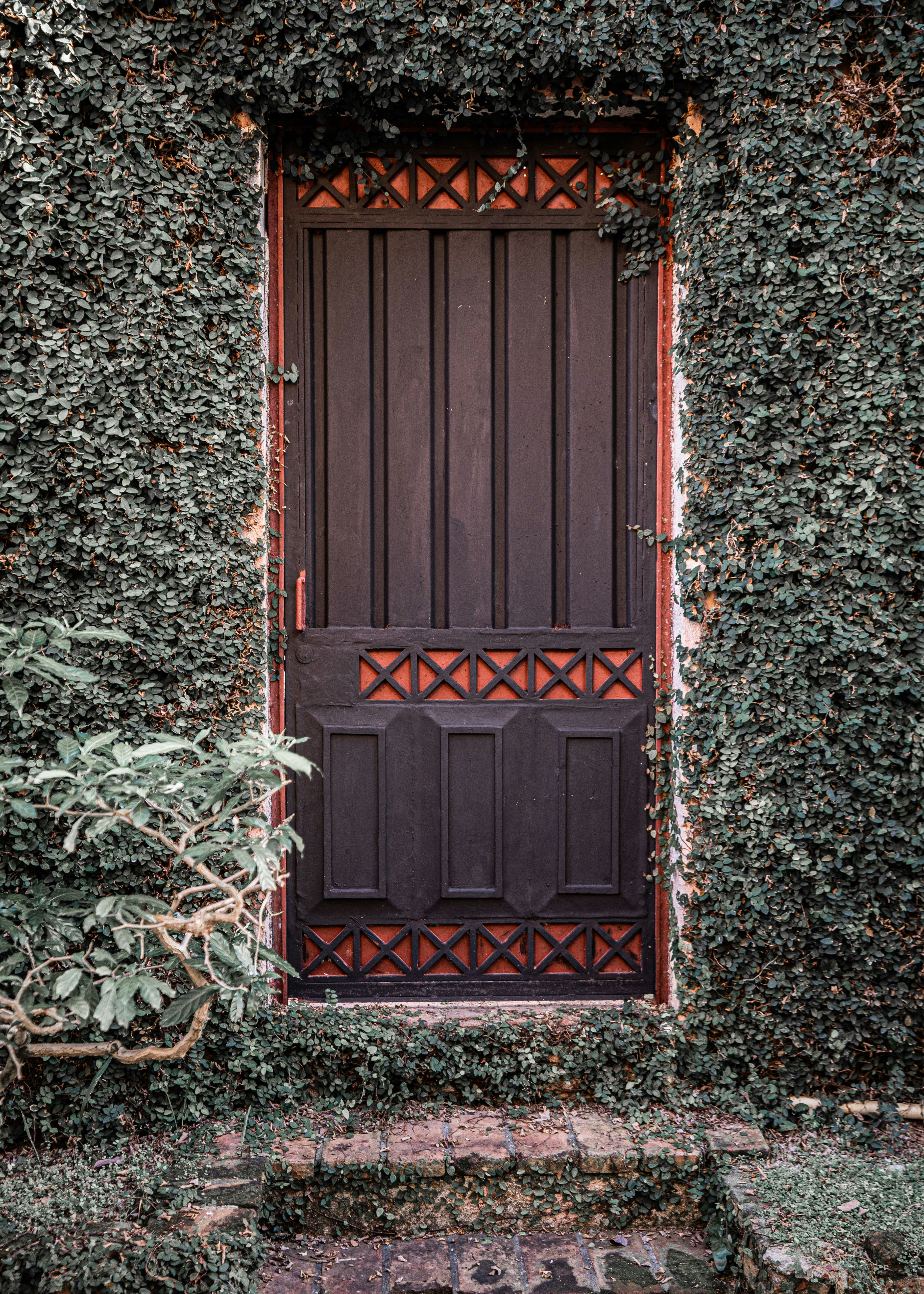 Photo by jochycampusano