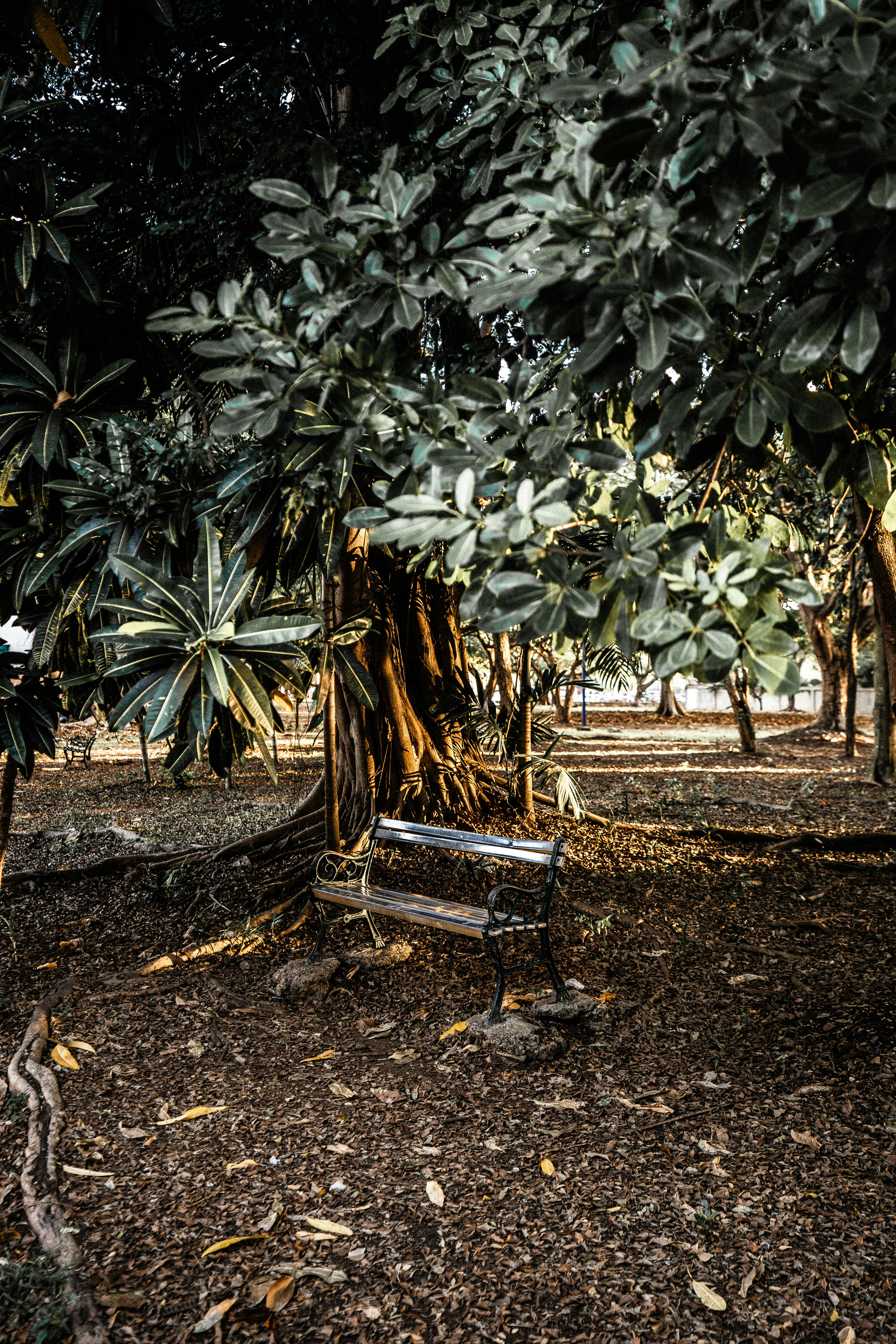 Photo by jochycampusano