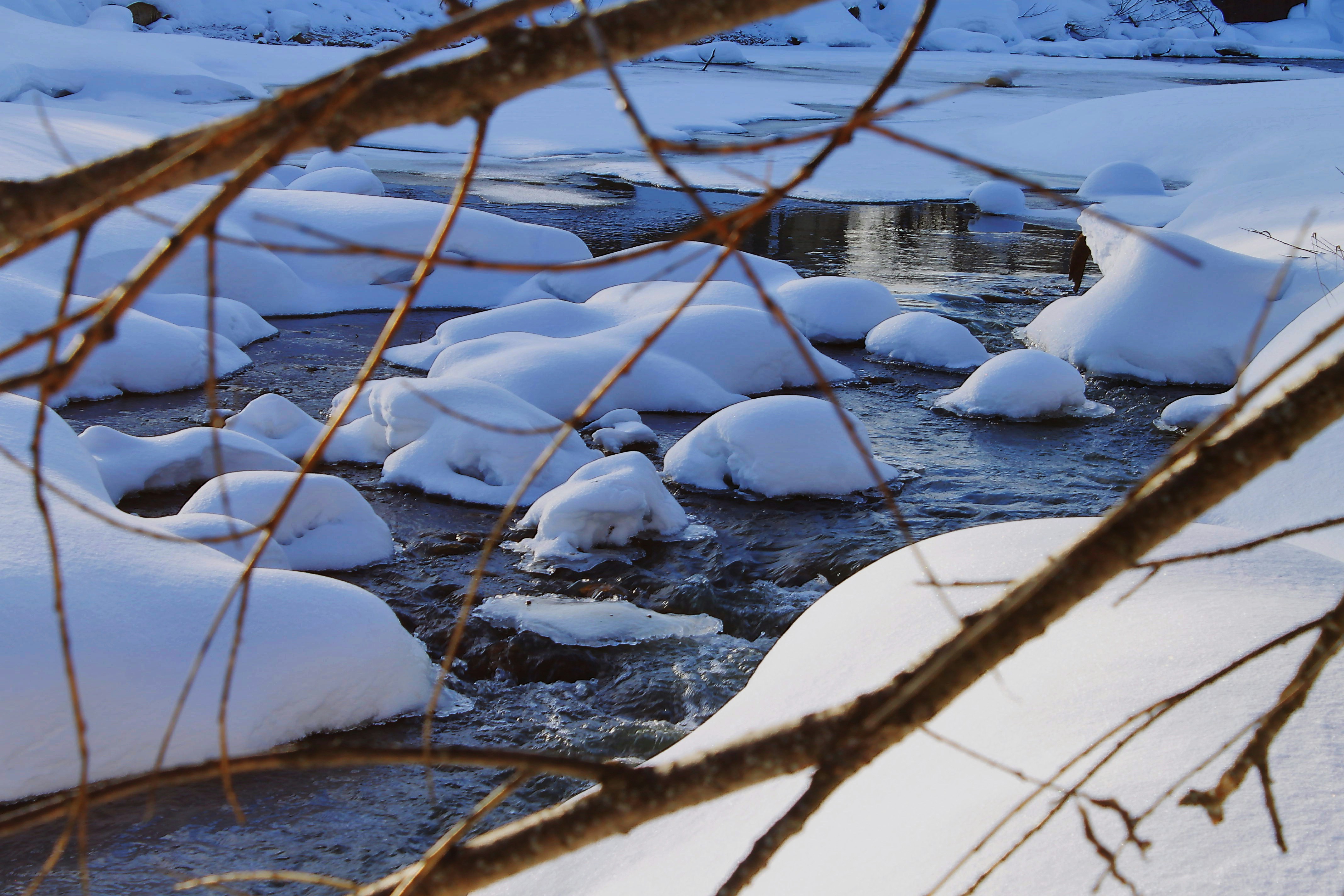 Photo by dragoncy635