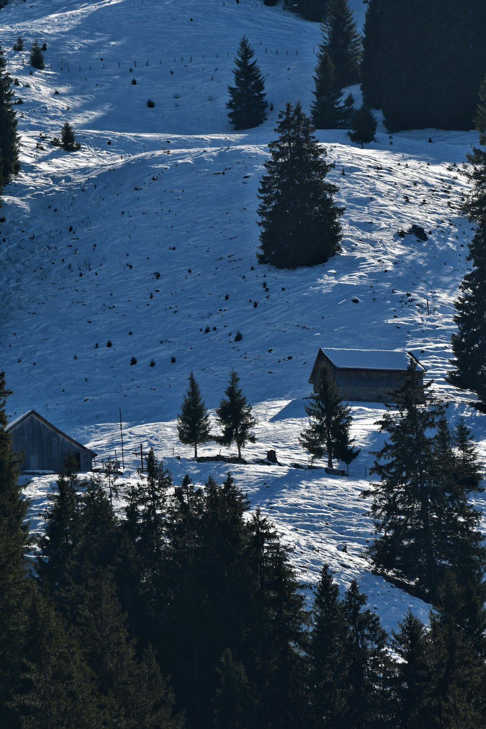 a snow covered hillside with a small cabin in the distance