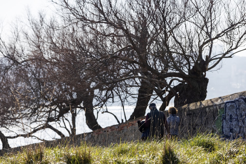 a couple of people standing next to a tree