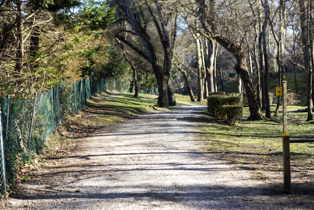 a dirt road surrounded by trees and a fence